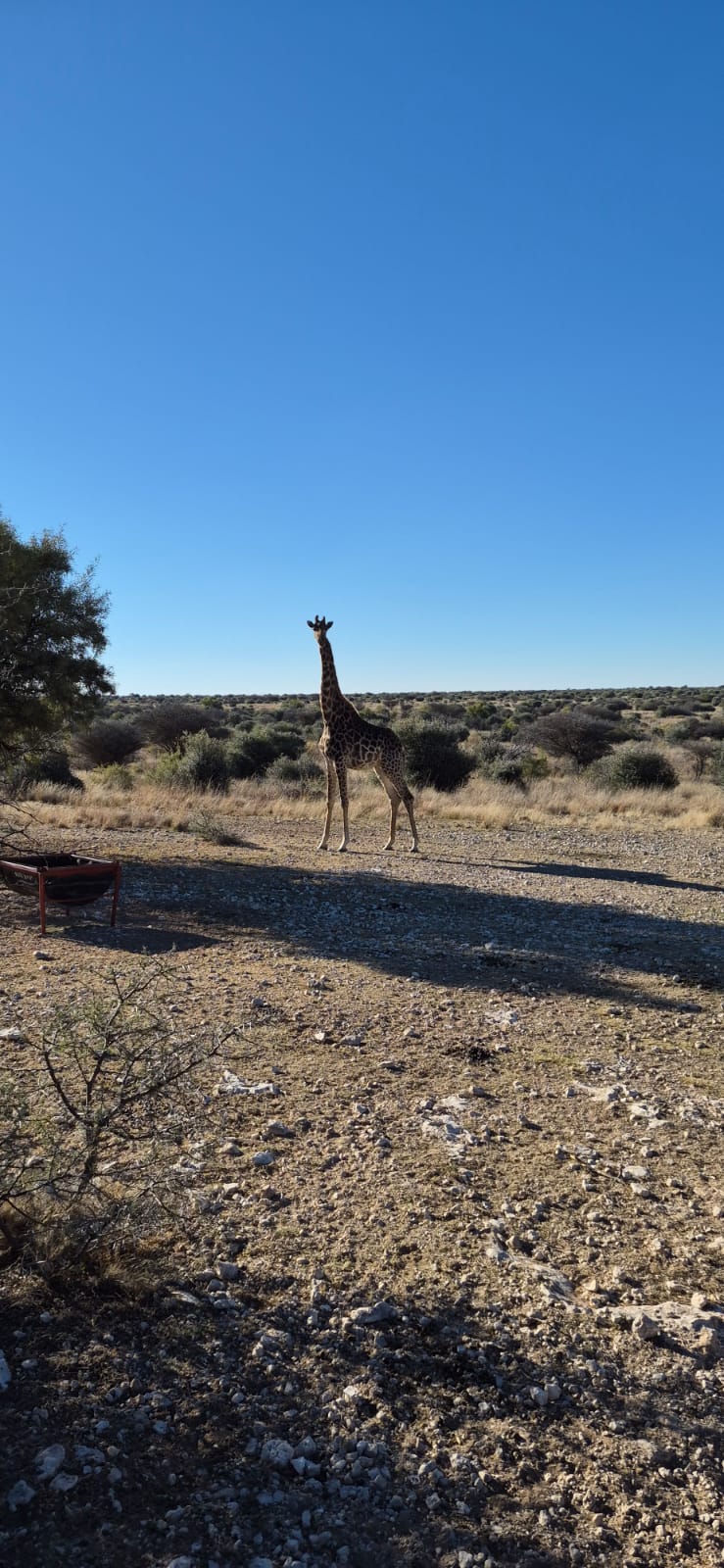 Commercial Property for Sale in Barkly West Rural Northern Cape